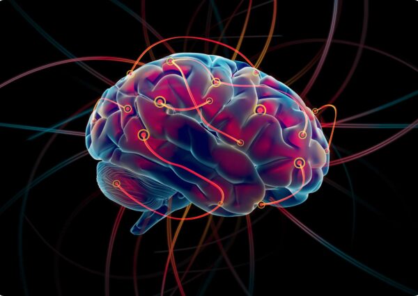 Brain Enhancement Online Seminar