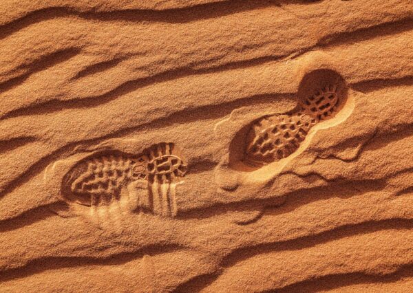 Tracing Humanity's Footsteps: From Antiquity to Modernity