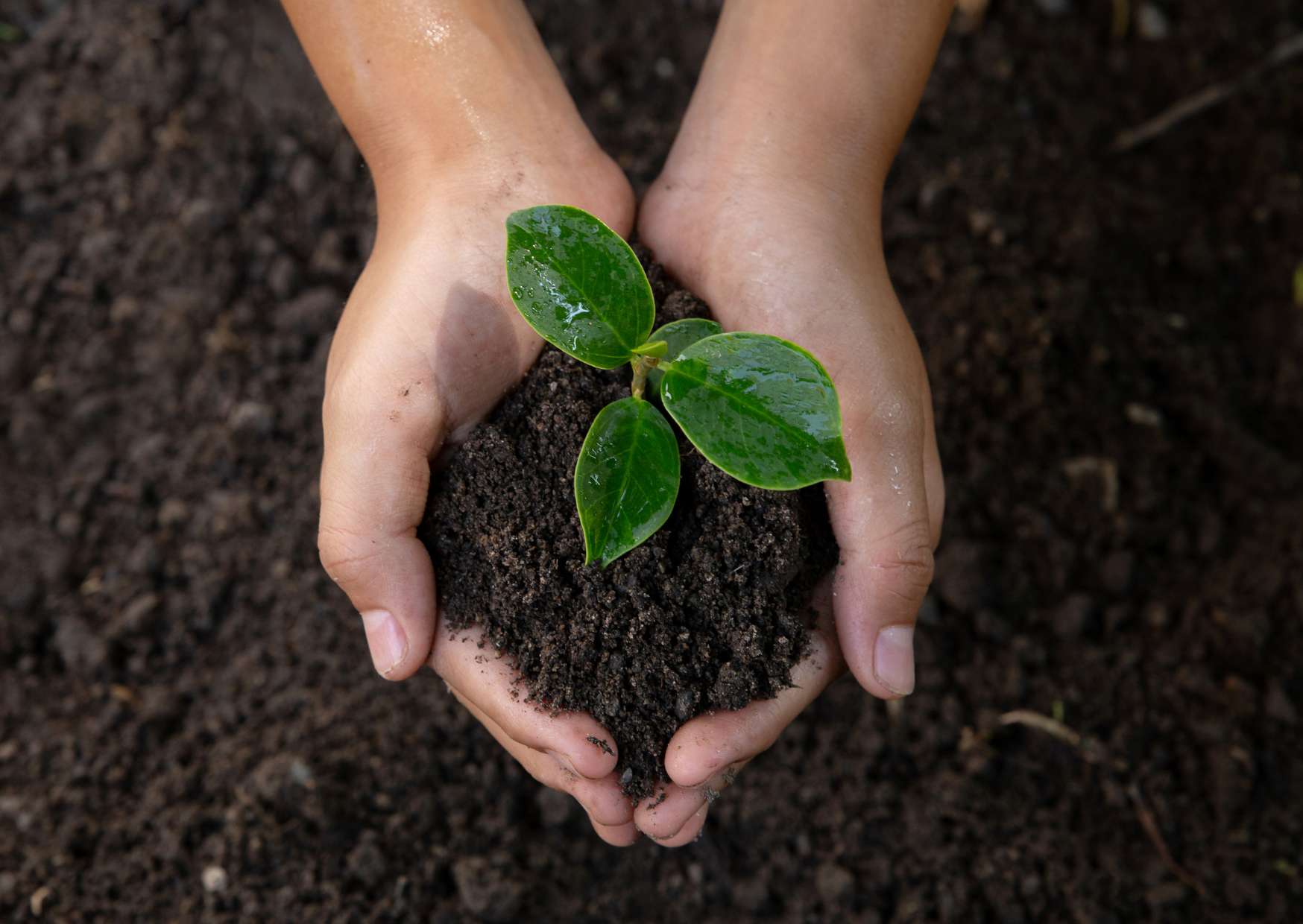 Cultivating Appreciation in Life