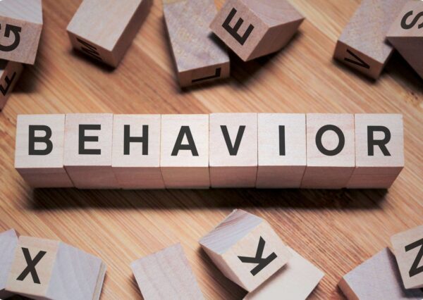 DBT Expertise: Comprehensive Visual Learning