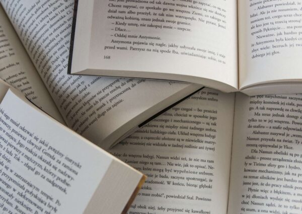 English Literature Fundamentals