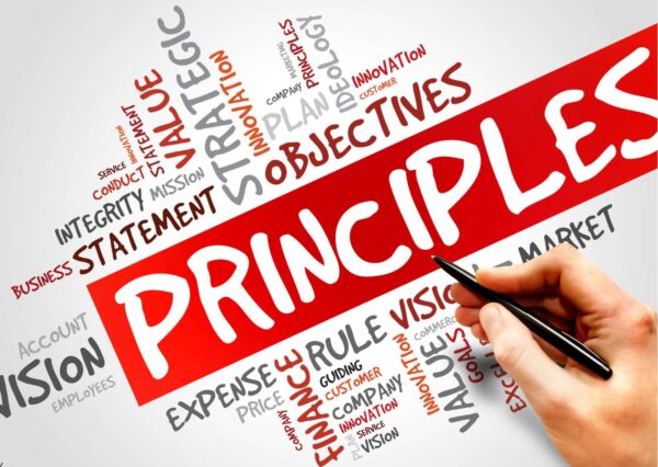 Essential UX Design Principles