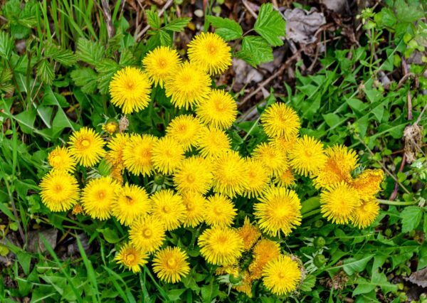 Flourishing Beyond the Classroom