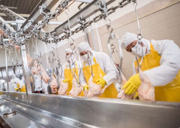 Fundamentals of Food Hygiene
