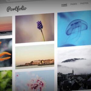 Graphic Design Portfolio Presentation Elevation