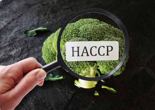 HACCP Essentials Online