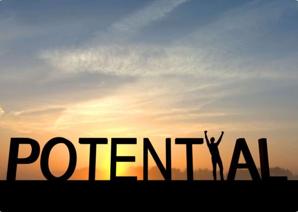Igniting Income Potential