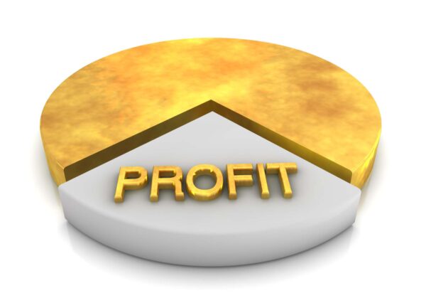 Insta Profit Membership: A Comprehensive Guide