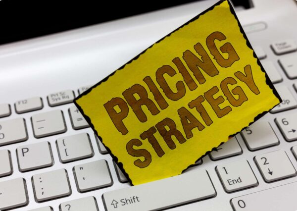 Maximizing Profit through Strategic Pricing