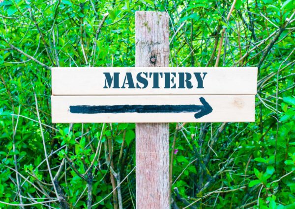 NeuroFlex Mastery Program
