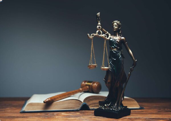 Online Criminal Law Essentials