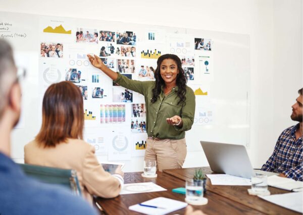 Professional Project Management Techniques