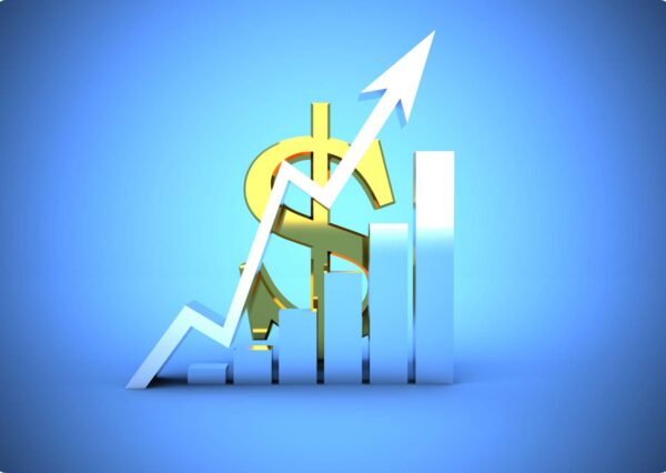Profit Maximization Strategies
