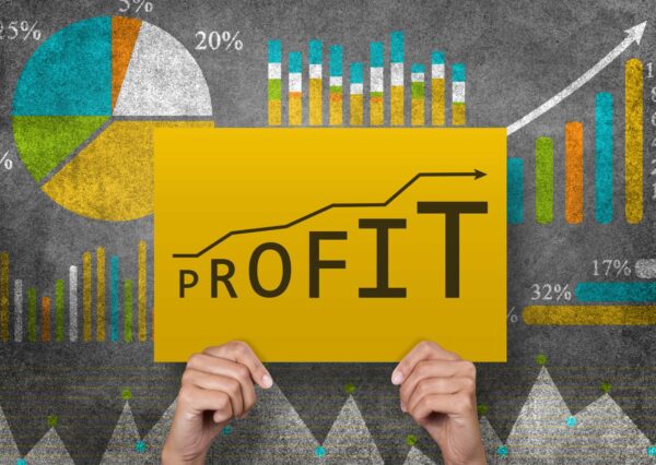 Profit Maximization with Thrivecart