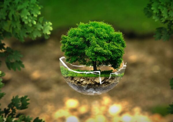 Strategies for Environmental Preservation