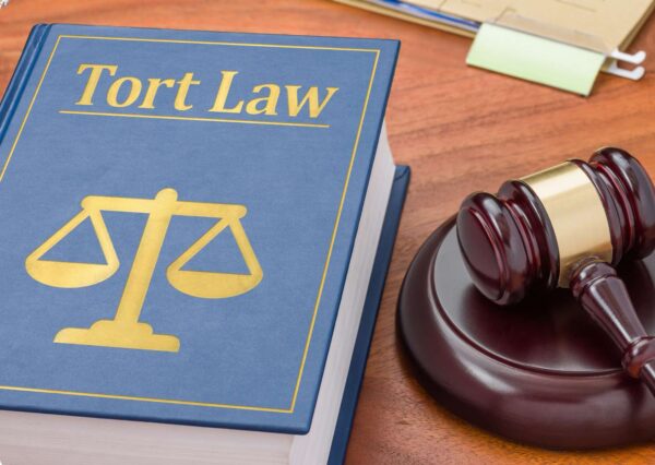 Tort Law Essentials for Professionals