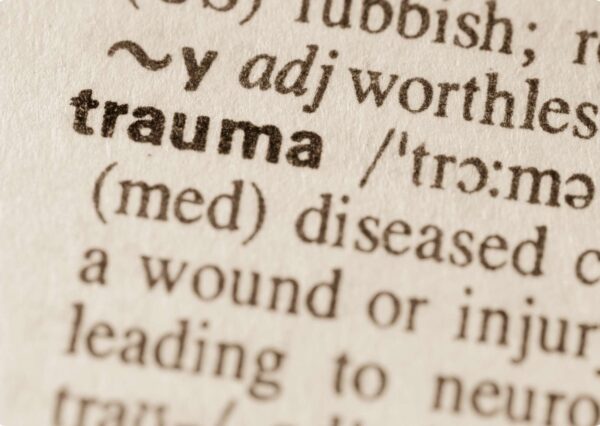 Trauma-Informed Care Excellence Program