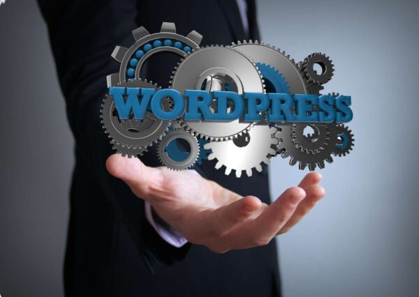 WordPress Basics and Beyond