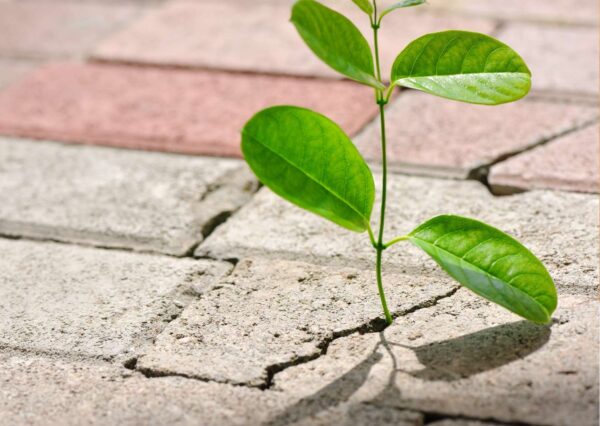 Overcoming Shame: Conquering Inner Challenges