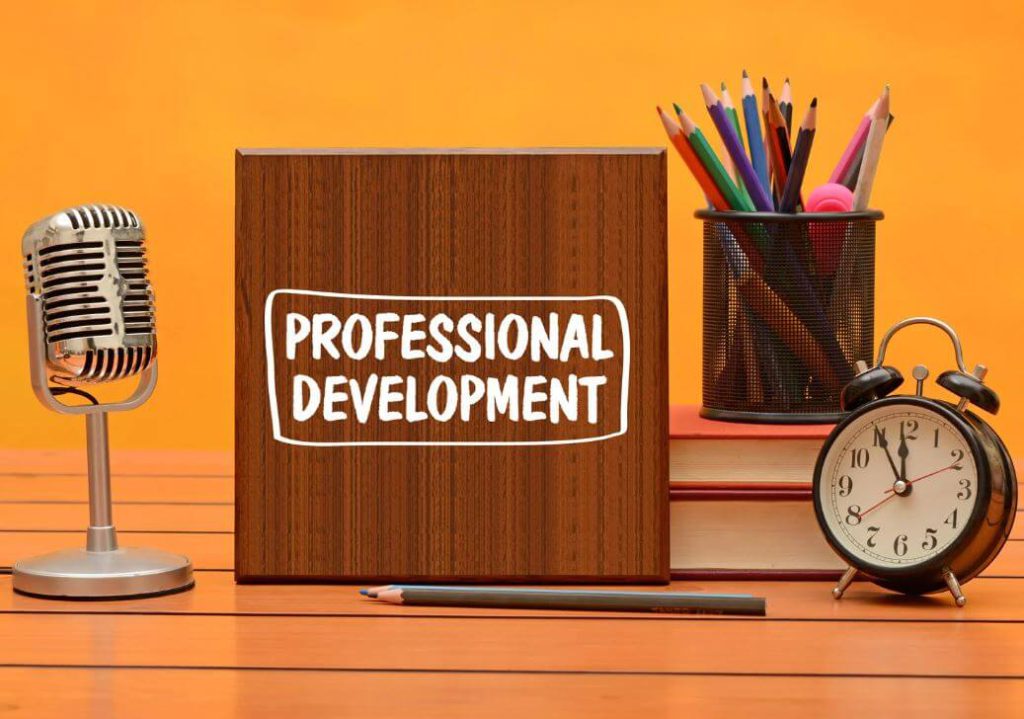 professional development programme